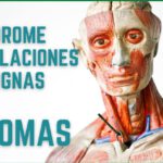 Cómo son las fasciculaciones por ansiedad: síntomas y relación