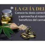 Cuantas gotas de CBD para la ansiedad: Guía completa