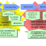 La ansiedad a nivel cognitivo: una visión amplia sobre los efectos en el funcionamiento mental