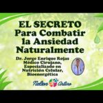 La ansiedad: qué es y cómo combatirla de forma natural